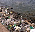 <center> Nous devons permettre à la biodiversité de se rétablir dans les Océans.<br>
Le plastique
Divers déchets tels que les emballages, bouteilles en plastiques ou autre sont souvent pris pour nourriture par les gros poissons, <br>tortues de mer ou même par les mammifères comme les phoques ou les dauphins, cela prennent les sacs en plastiques pour des méduses<br> dont ils se nourrissent, ils les avalent et s’étranglent. <br>Cent mille mammifères marins, un million d’oiseaux de mers meurent ainsi chaque  année.<br> Il y a aujourd’hui 100 fois plus de déchets sur les plages que voila seulement 10 ans et une bouteille ou un sac en plastique jeté à la mer vont mettre des siècles pour se dégrader alors penser bien à jeter ou ne pas laisser d’ordures sur les plages et faites l’effort de ramasser celles qui s’y trouve et qui vont venir polluer cette mer que nous aimons et dont nous avons tant besoin <br>. 17 milliards de sacs en plastiques sont fabriqués chaque année en France mais sont de plus en plus prohibés <br>il y a tellement d'autres solutions avec les sacs auto dégradables, les sacs solides les sacs réutilisables et payant les sacs thermoplastique, sacs en papier recyclé en tissu et tant d'autres. (Source: http://www.bien-etre-et-ecologie.com)
 Solution des mers...Déchets plastiques... 