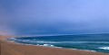 <center>Entre dunes et mer froide, elle est l'hôtesse privilégiée<br> d'une importante colonie d'otaries à fourrure,<br> Arctocephalus pusillus ; quelques 100000 individus ! plage dunes namibie 