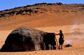Perdu en plein milieu d'un désert de sable, ce campement Himba, n'est toutefpis pas très loin de la rivière KUNENE.
Nord Ouest du KAOKOLAND, vallée d'Hartmann. Hutten HIMBA. KAOKOLAND. NAMIBIE 