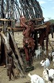 Viande provenant de leurs troupeaux, eau, lait conservé dans des calebasses (ondjupa). Stockage des objets et aliments. KAOKOLAND. NAMIBIE. 