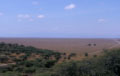 <center>Vastes plaines et immense théatre, entre autres,<br> de la grande migration des gnous ! tanzanie,paysage, afrique 